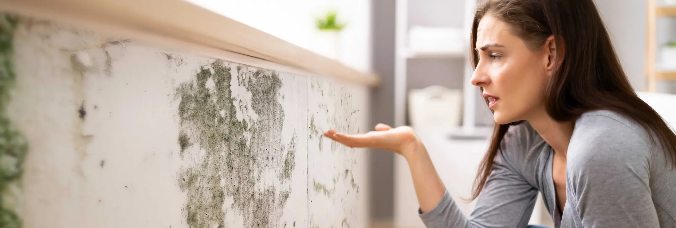 Fallrohrsanierung Wiesbaden Fallrohrsanierung Wiesbaden